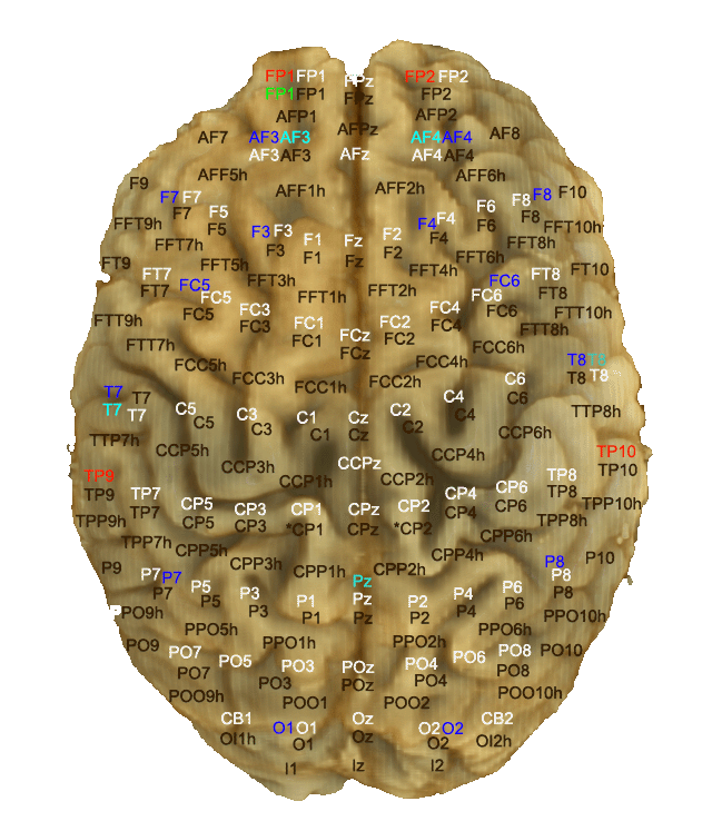 MindBigData Technology