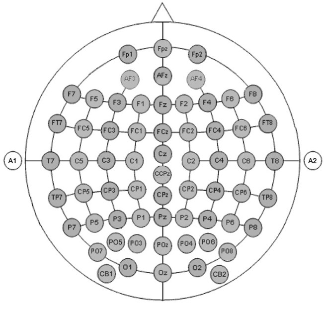 Visal MNIST of Brain Digits Custom Cap 64cgs